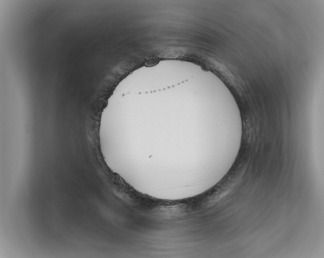 X0000110860307200907091346