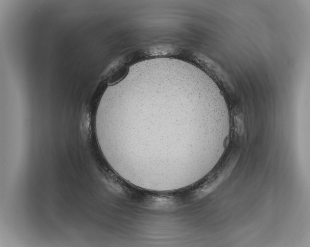 X0000110860308200907091345