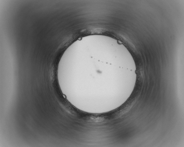 X0000110860311200907091345