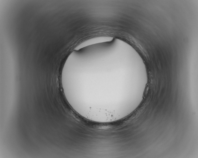 X0000110860313200907091345