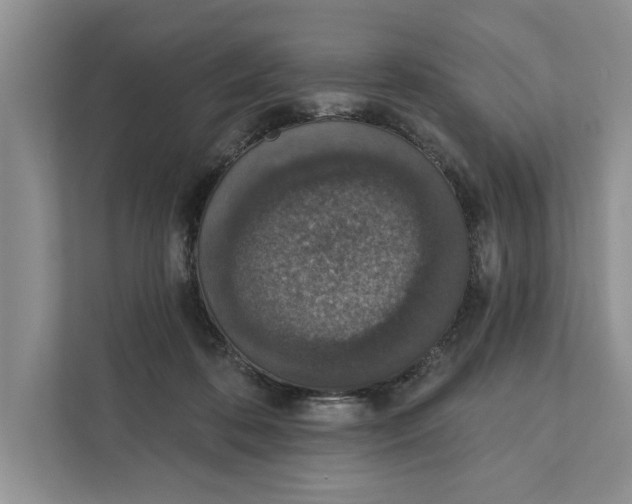 X0000110860316200907091345