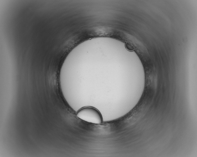 X0000110860317200907091345