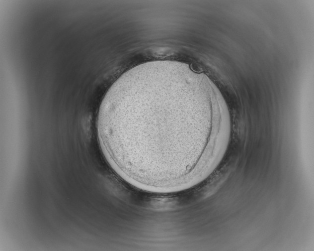 X0000110860319200907091345