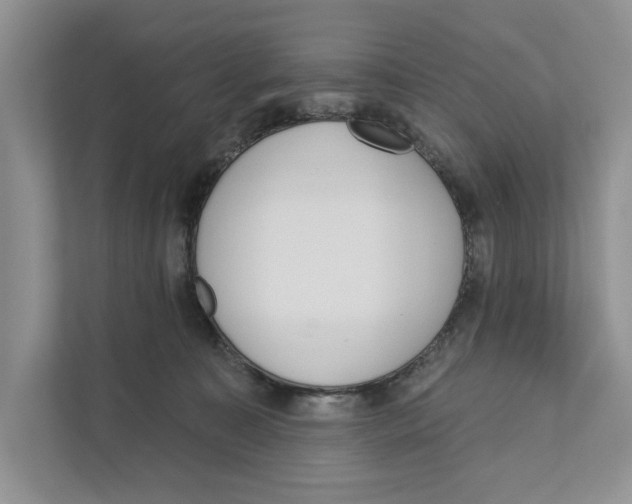 X0000110860323200907091345