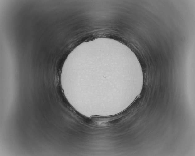 X0000110860324200907091345