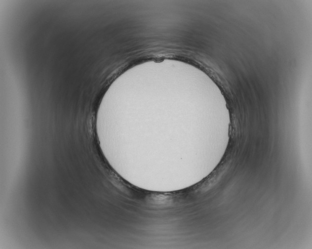 X0000110860325200907091345