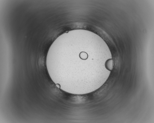 X0000110860326200907091345