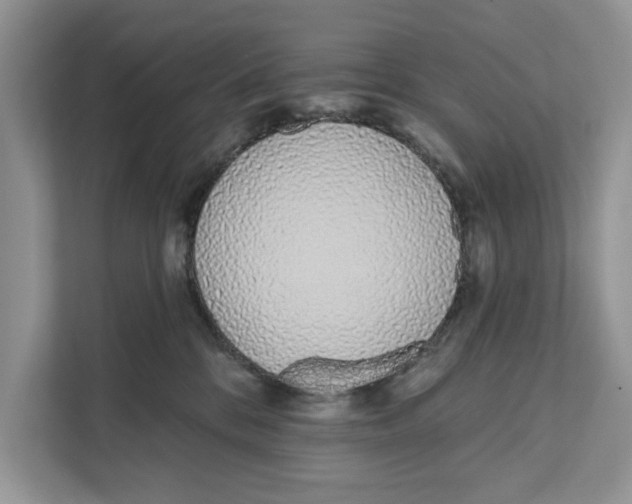 X0000110860328200907091345