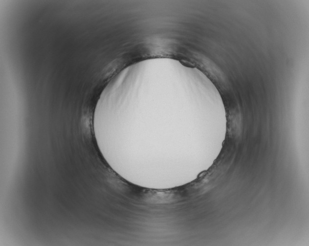 X0000110860329200907091345