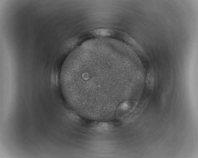 X0000110860330200907091345