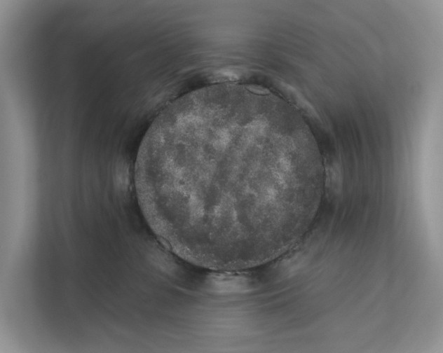 X0000110860331200907091345