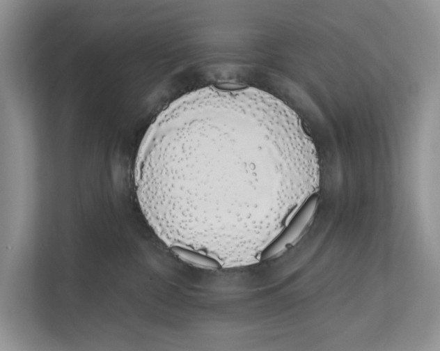 X0000110860332200907091345