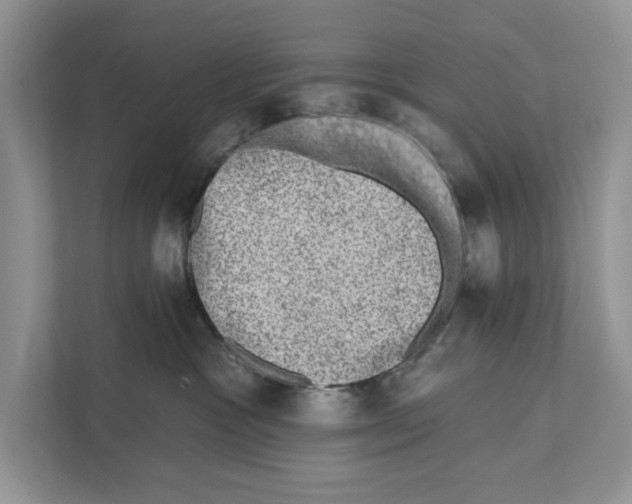 X0000110860333200907091345