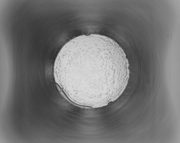 X0000110860336200907091345