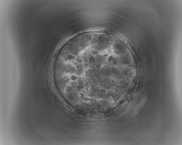 X0000110860337200907091345