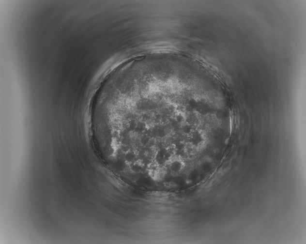 X0000110860339200907091345