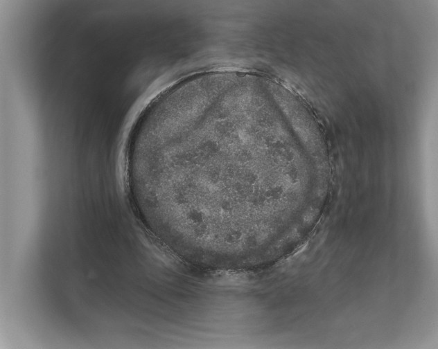 X0000110860343200907091345