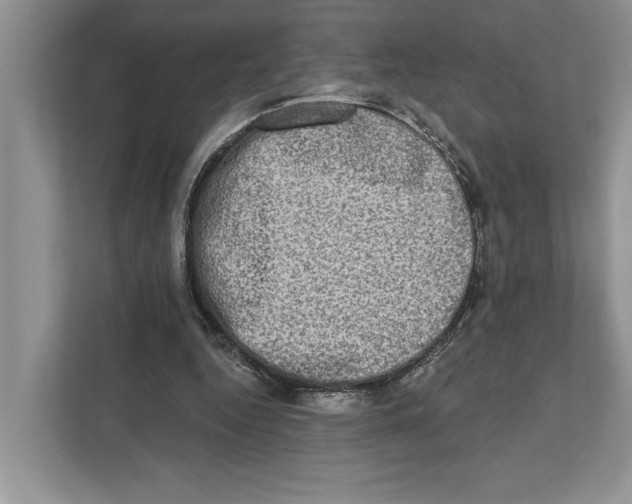 X0000110860344200907091345