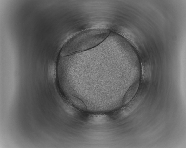 X0000110860348200907091345