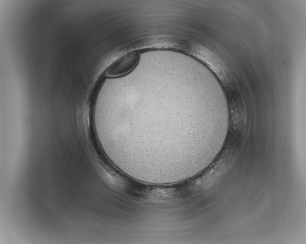 X0000110860350200907091345