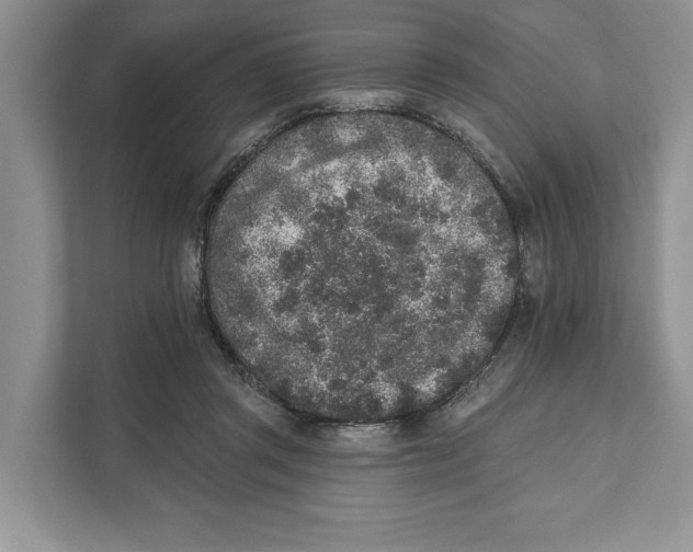 X0000110860357200907091345