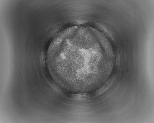 X0000110860366200907091345