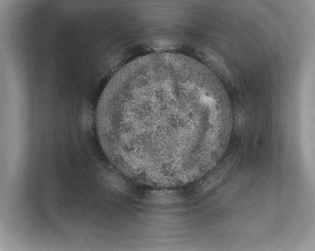 X0000110860367200907091345