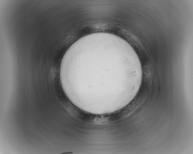 X0000110860369200907091345