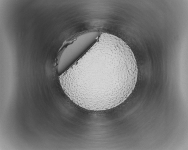 X0000110860372200907091345