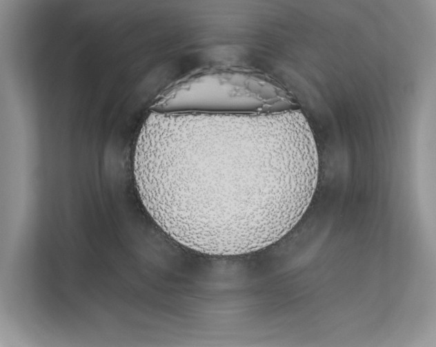 X0000110860376200907091345