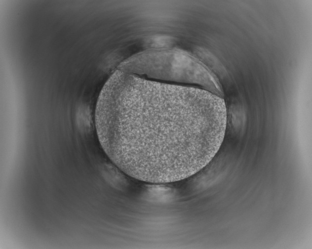 X0000110860380200907091345