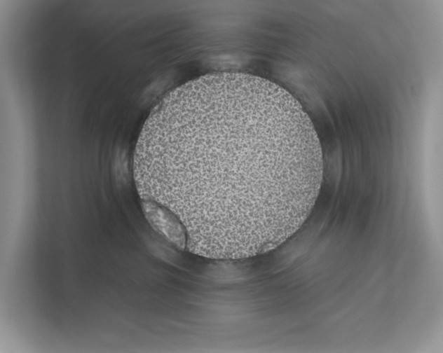 X0000110860381200907091345