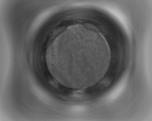 X0000110860382200907091345