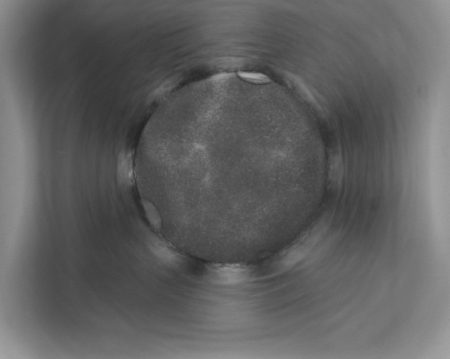 X0000110860383200907091345