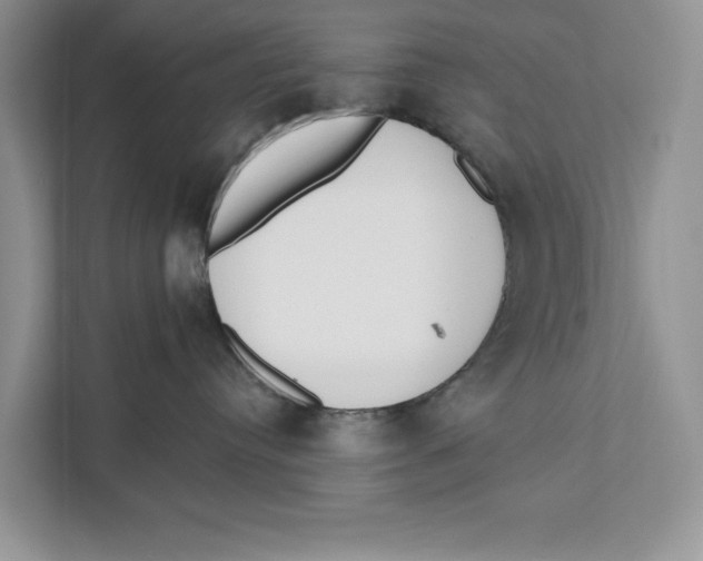 X0000110860384200907091345