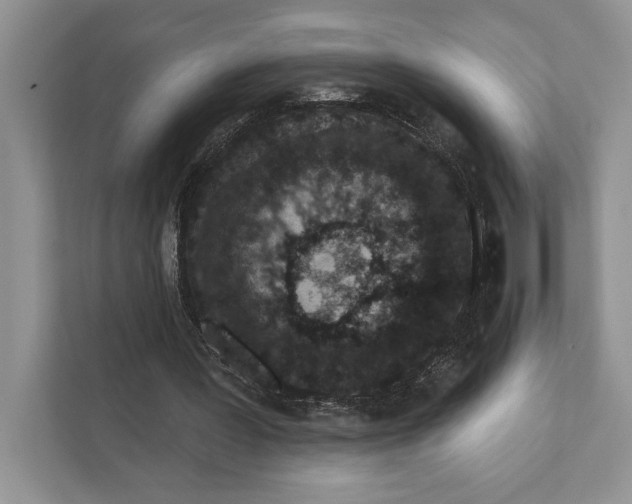 X0000110860387200907091344