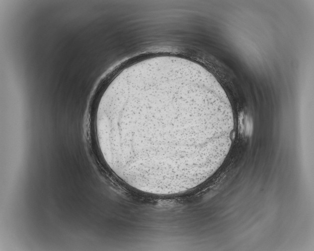 X0000110860388200907091344