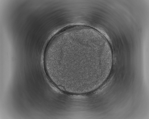 X0000110860389200907091344