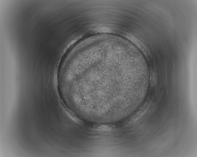 X0000110860390200907091344