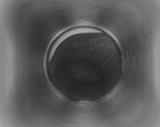 X0000110860391200907091344