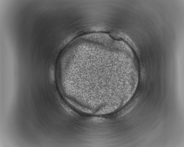 X0000110860393200907091344