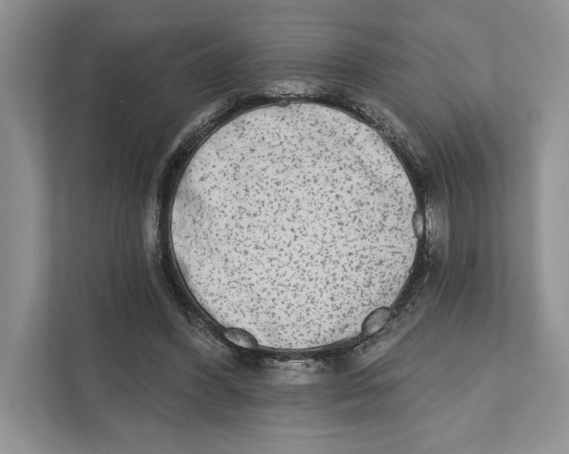 X0000110860396200907091344