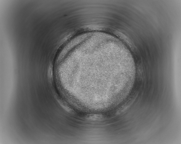 X0000110860398200907091344