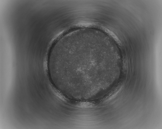 X0000110860399200907091344