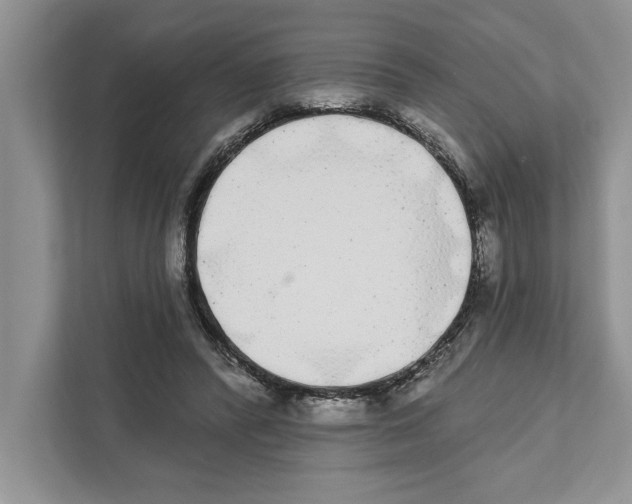 X0000110860400200907091344