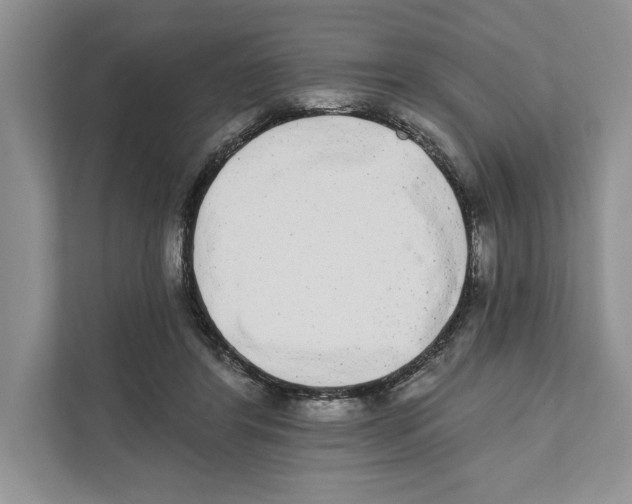 X0000110860404200907091344