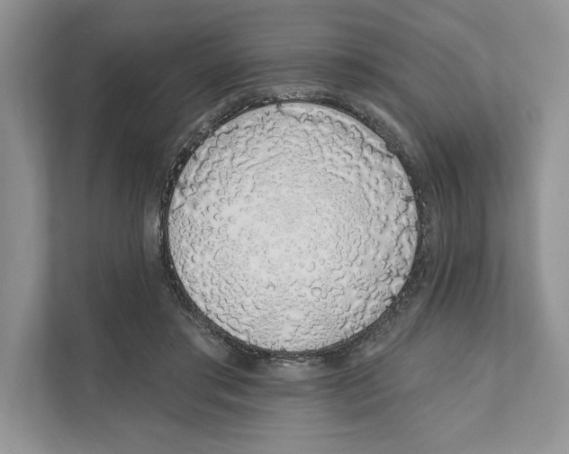 X0000110860405200907091344