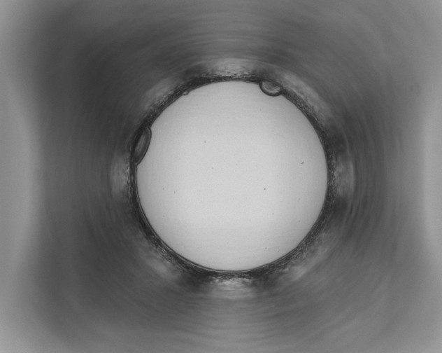 X0000110860407200907091344