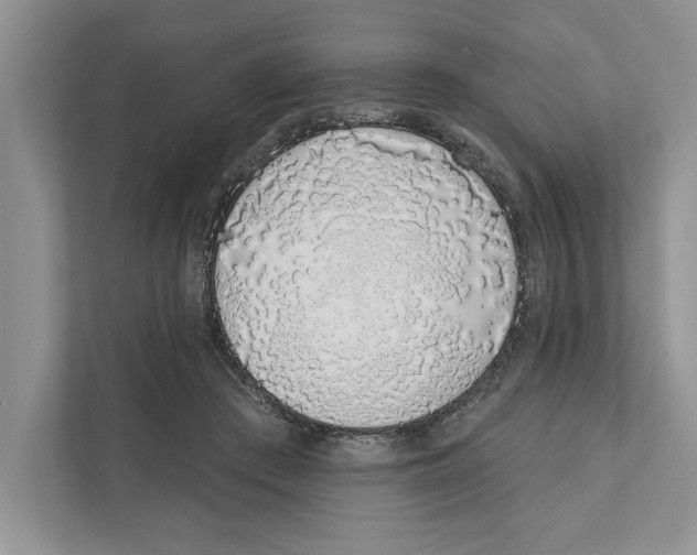 X0000110860409200907091344