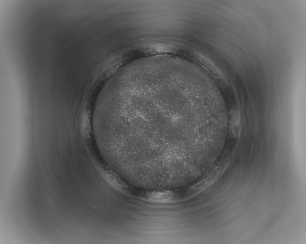 X0000110860410200907091344